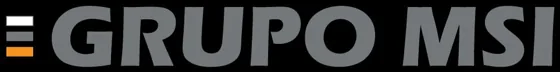Grupo MSI